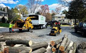 Lawn Watering Services in Williamsburg, PA