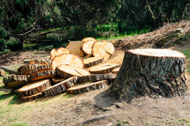 Mulching Services in Williamsburg, PA